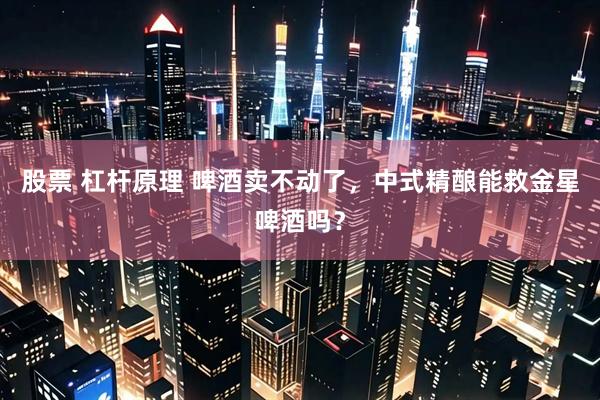 股票 杠杆原理 啤酒卖不动了，中式精酿能救金星啤酒吗？