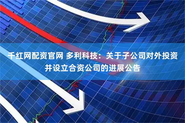 千红网配资官网 多利科技：关于子公司对外投资并设立合资公司的进展公告
